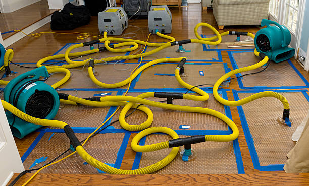 Professional Sewage Cleanup technician working in Hardwick, MN